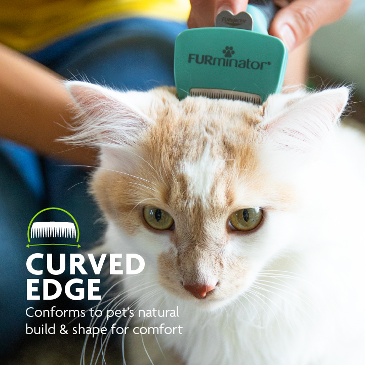 Furminator reviews cat short hair hotsell